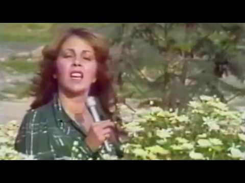 Vicky Y Nunca Comprendi