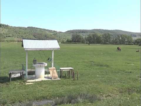 Reabilitarea targului saptamanal la Bolbosi