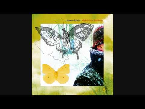 Liberty Ellman / Steve Lehman / Gerald Cleaver - Ophiuchus Butterfly