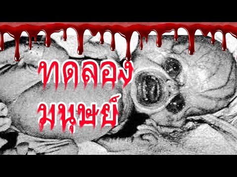 เชื้อโรคที่จำเป็นสำหรับผู้หญิง แรงคนเลวของสิ่งที่จะทำ