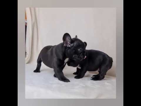 Eccoci in Total Black