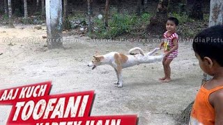 Best Funny | Sharpei Dog Kissing 2016 Prank fails #5 أفضل مضحك | القطط تجميع القط
