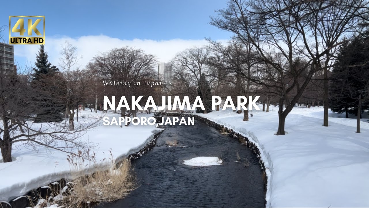 Embark on a walking tour of Nakajima Park nestled in snow.