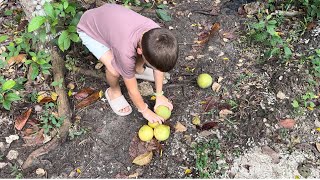 Success experiment with alive water , but I did mistake. Car washing. Trying pomelo from the tree.