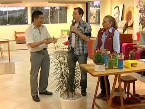 ARTE BRASIL - ANA MARIA GUIMARÃES - PINTURA EM TELA (ORQUÍDEAS) (26/10/2011)