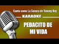 Pedacito de mi Vida, con letra - La Sonora de Tommy Rey karaoke