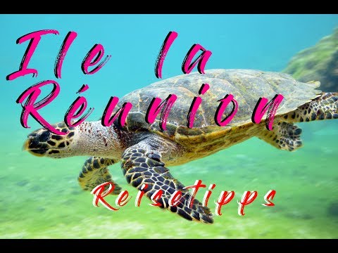 La Réunion - Reisetipps (Kurzdoku)🐢🐢🐢