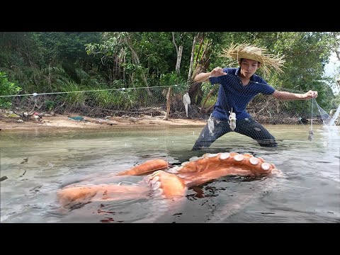 Amazing Hunting Octopus Underwater, under sea Catch Octopus!!