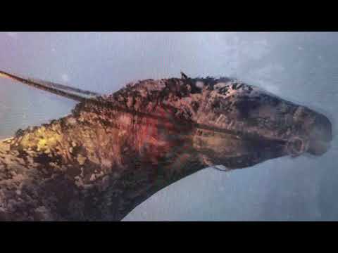 Red Dead Redemption 2 : Xbox One X vs PS4 Pro Comparison [4K] Video