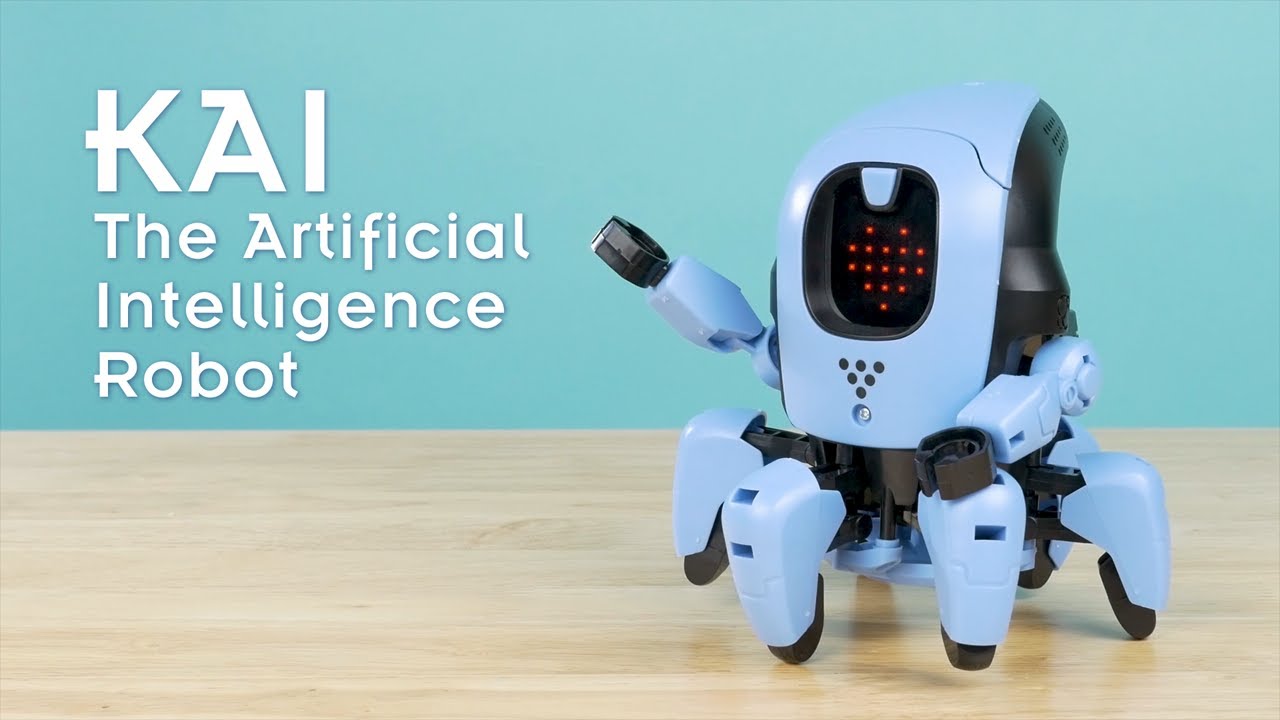 KAI: The Artificial Intelligence Robot