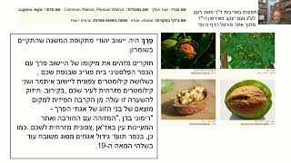 דף יומי מסכת זבחים דף עב Daf yomi Masechet Zevachim page 72  ע"י יוני גוטמן (שיעורי הדף היומי ב-20 דקות – מועבר ע"י ר' יוני גוטמן – לעילוי נשמת אביו ר' אלימלך צבי (צביקה) גוטמן ז"ל) - התמונה מוצגת ישירות מתוך אתר האינטרנט יוטיוב. זכויות היוצרים בתמונה שייכות ליוצרה. קישור קרדיט למקור התוכן נמצא בתוך דף הסרטון
