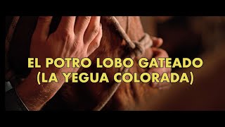 Antonio Aguilar - El Potro Lobo Gateado (La Yegua Colorada) - Visualizador Oficial