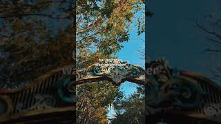 Download lagu Story WA Kota Surabaya mp3