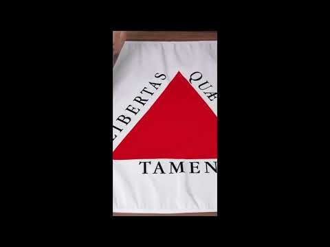 Bandeira Oficial do Estado de Minas Gerais