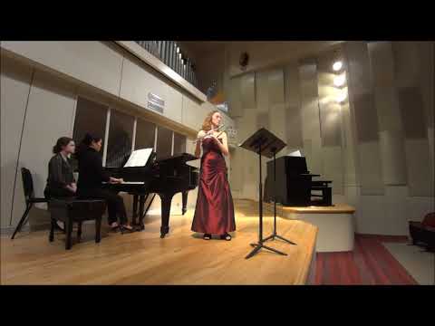 Promotional video thumbnail 2 for Jenny Lehtonen - Flute