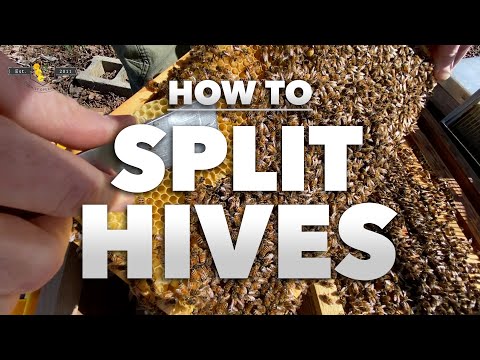 u he hive coupon u he hive coupon