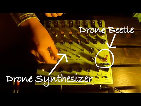 Drone Music vs Drone Beetle? — LYRA-8 Outdoor Session
