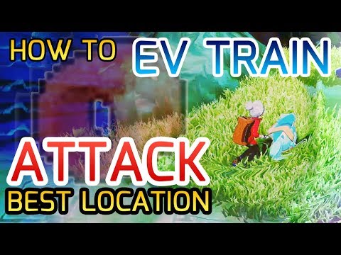 EV Training Sword and Shield Guide - Learn How to Ev Train Attack