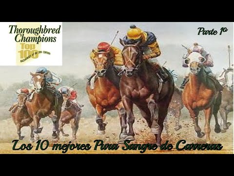 TOP 10🏇 Best US Thoroughbred Racehorses of the 20th Century 🏇 (Part 1)