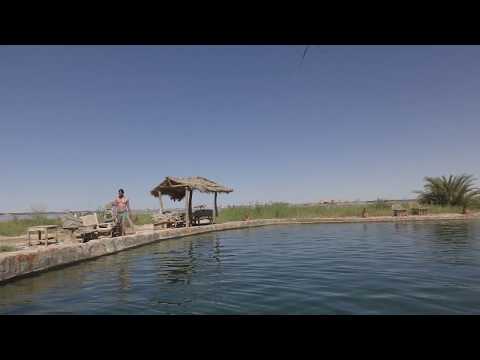 Awaiting a shisha next to the freshwater pool of Taghaghien island resort