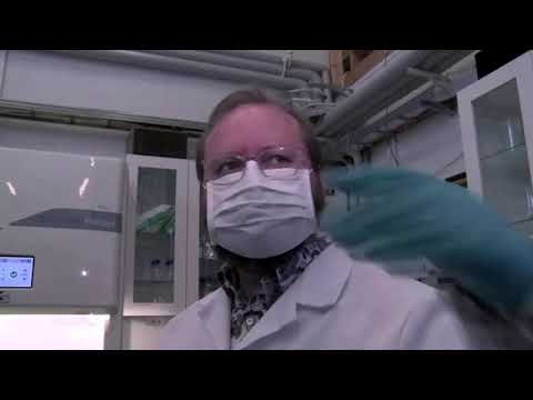 芬蘭初創企業憑空製造食物 (Finnish startup makes food out of thin air)