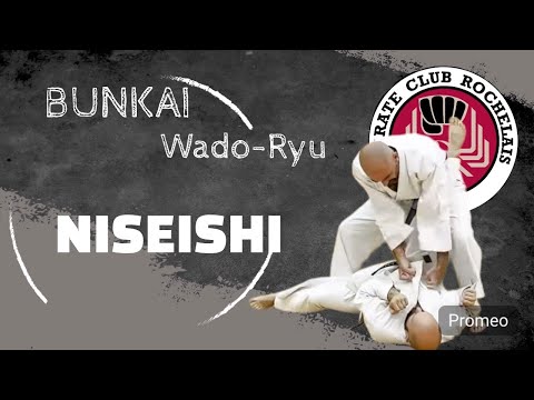 Bunkai Niseishi - Karate Wado Ryu