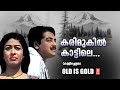 Karimukil Kattile Kallichellamma Evergreen Malayalam Film Songs Movie Song