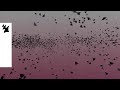 Jan Blomqvist - Carry On (Adana Twins Remix) [Official Visualizer]
