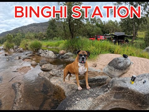 Binghi Station episode 5, FJ Cruiser with Patriot X1-N @TheRedRig