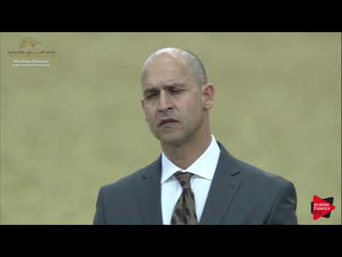 N.98 MONTASER AL WAAB - 2019 Qatar Nat. Peninsula show - Colts 2 Years Old (Class 5) .mp4