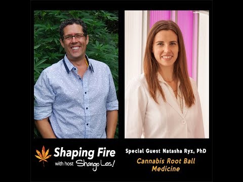 Shaping Fire Ep. 26 - Cannabis Root Ball Medicine with guest Natasha Ryz, PhD