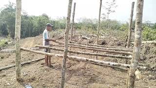 Download lagu membuat pondokan kebun, dari kayu bulat mp3