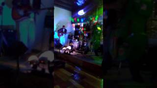 The Hillbilly Hounddogs