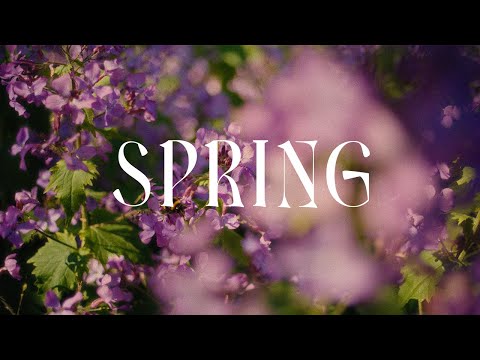 Mother Nature: Spring