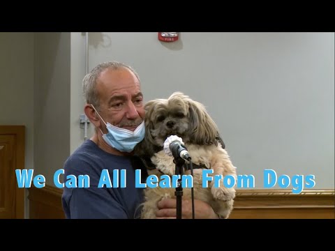 We Can All Learn From Dogs