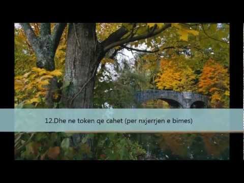 Surja Tarik -  Shejkh Mahir el Muajkli - {me përkthim shqip}