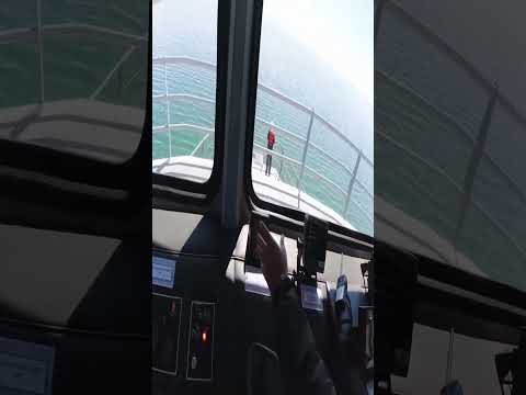 BM - 01 Mosoj Huayna│Guaqui - Bolivia│El Tio Borikua.
