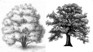 Смотреть онлайн Как нарисовать большое дерево простым карандашом