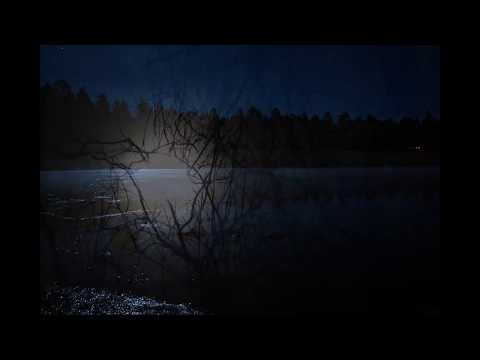 Spoznaja - Darko Čalušić