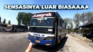 Download lagu BUTUH NYALI BESAR NAIK BUS INI!!! BERANI COBA?? | Trip Bus Rela “Balap” Solo - Purwodadi mp3