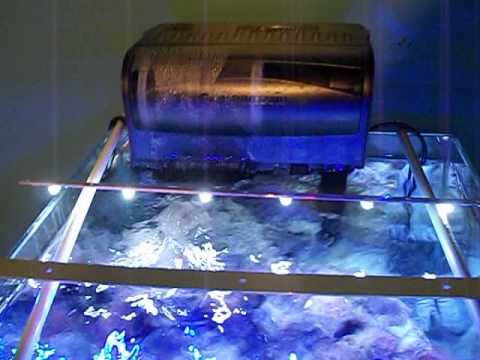 7.5 gallon cube reef