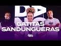 GATITAS SANDUNGUERAS Álvaro Díaz Feid FitDance Choreography