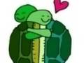 Turtle Love