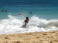 Dwarf Hawaiian Boogieboarder - 1