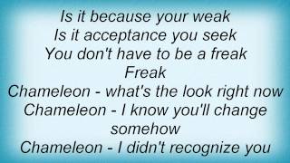 Slapshot - Chameleon Lyrics
