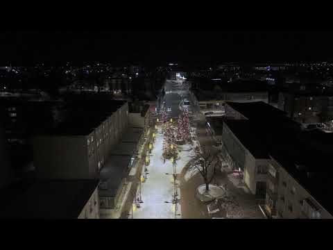 Šiaulių Bulvaras 2025 01 04