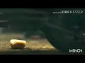 KGF BEST MOTHER S DAY SPECIAL WHATSAPP STATUS I HAPPY MOTHER S DAY WHATSAPP STATUSI MOTHER S