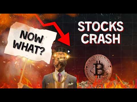 Narrative Arrives Right on Time!