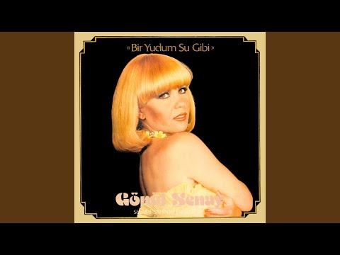 Ya Seninle Ya Sensiz