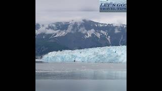 Princess Cruises: Alaska's BIGGEST Year & Immersive Experiences! #shorts